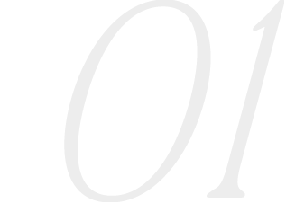 01